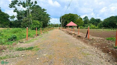 /international/cr/huetares-monge-horquetas-sarapiqui-heredia-sarapiqui-heredia-province-310105100842/