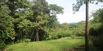/international/cr/nature-focused-eco-residential-lots-in-santiago-santiago-santa-teresa-alajuela-province-310104919982/