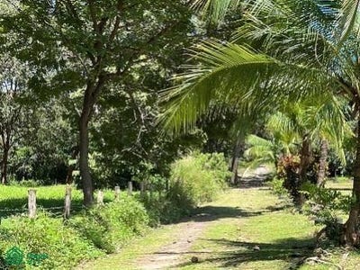 /international/cr/huaquitas-de-pijije-bagaces-bagaces-guanacaste-bagaces-guanacaste-province-310094534617/