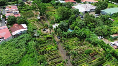 /international/cr/barrio-san-jose-alajuela-alajuela-alajuela-alajuela-province-310108926745/