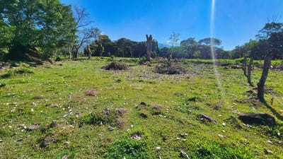 /international/cr/lot-3500m²-playa-verde-santa-elena-alajuela-province-310106396108/