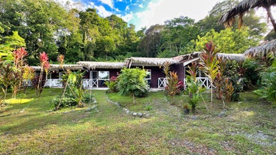 /international/cr/cahuita-cahuita-limon-310108969682/