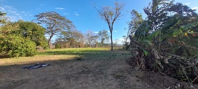 /international/cr/countryside-home-construction-site-for-sale-in-samara-samara-costa-rica-samara-guanacaste-province-310108286793/