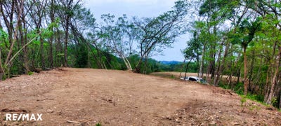 /international/cr/lote-max-samara-guanacaste-samara-guanacaste-province-120092185800/