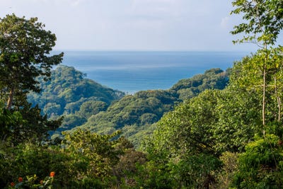 /international/cr/finca-pacifica-baru-savegre-de-aguirre-puntarenas-province-310098386128/