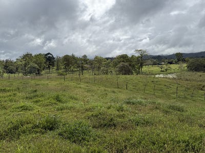 /international/cr/maquencal-guatuso-near-tenorio-national-park-guatuso-alajuela-guatuso-alajuela-province-310104423736/