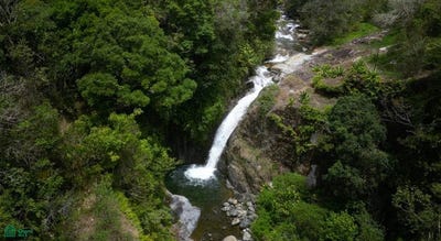 /international/cr/vista-cascada-rivas-perez-zeledon-san-jose-rivas-san-jose-310103818701/