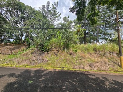 /international/cr/land-for-sale-in-residencial-montisel-la-garita-alajuela-province-310103767518/