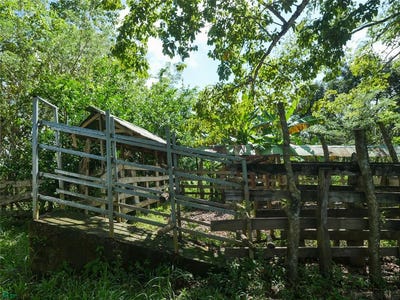 /international/cr/ruta-160-cobano-rio-negro-puntarenas-puntarenas-310108053539/