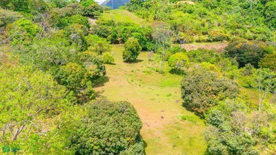 /international/cr/s-n-puerto-cortes-osa-puntarenas-osa-puntarenas-310101285199/?lang=zh-cn