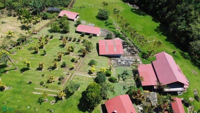 /international/cr/alto-varas-turrialba-turrialba-cartago-turrialba-cartago-province-310107836497/