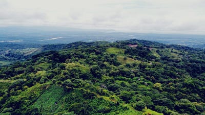 /international/cr/balzar-de-osa-8-km-al-este-de-la-escuela-vista-al-terraba-osa-osa-puntarenas-osa-puntarenas-310101864536/