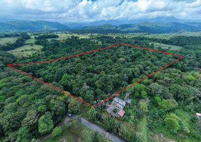 /international/cr/santa-clara-de-horquetas-sarapiqui-heredia-sarapiqui-heredia-province-310106116144/