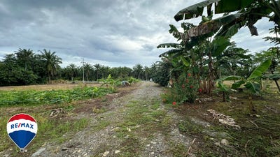 /international/cr/la-45-parrita-puntarenas-parrita-puntarenas-120095332322/