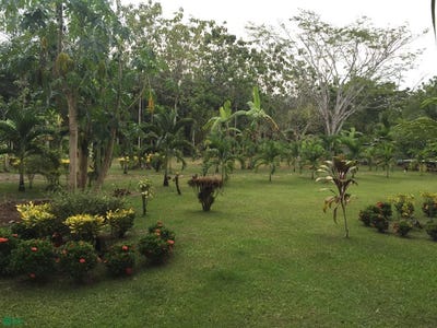 /international/cr/puerto-jimenez-puntarenas-puntarenas-310107587979/