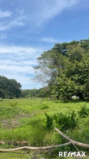 /international/cr/playa-agujas-agujas-puntarenas-agujas-puntarenas-310103197635/