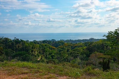 /international/cr/10-acres-rare-ocean-view-development-or-estate-property-in-uvita-with-waterfall-uvita-puntarenas-310108001617/
