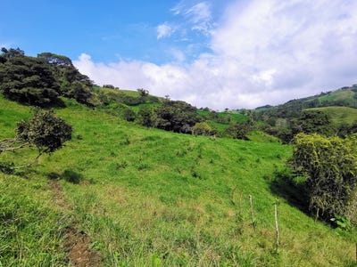 /international/cr/san-luis-zarcero-alfaro-ruiz-zarcero-alajuela-alfaro-ruiz-zarcero-alajuela-province-120085347027/