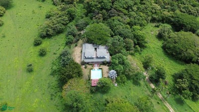 /international/cr/coyolito-guanacaste-belen-carrillo-guanacaste-carrillo-guanacaste-province-310101471820/?lang=zh-cn