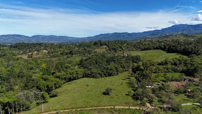 /international/cr/permaculture-lot-3-santa-elena-alajuela-province-310101483775/?lang=en