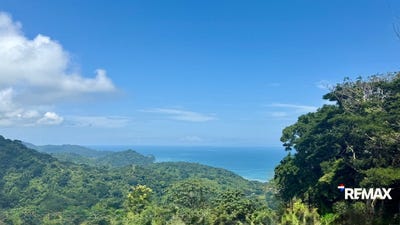/international/cr/hacienda-punta-mala-tarcolitos-puntarenas-puntarenas-puntarenas-puntarenas-310101836895/
