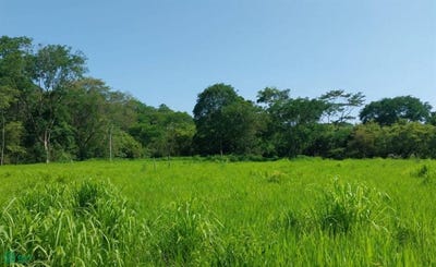 /international/cr/prime-investment-or-residential-opportunity-in-the-heart-of-uvita-bahia-ballena-osa-puntarenas-osa-puntarenas-310101154282/?lang=zh-tw