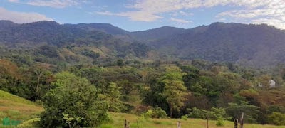 /international/cr/las-vegas-parrita-parrita-puntarenas-parrita-puntarenas-310106136740/
