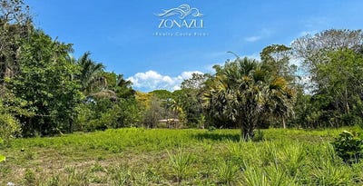 /international/cr/cabuya-cobano-puntarenas-310108892426/
