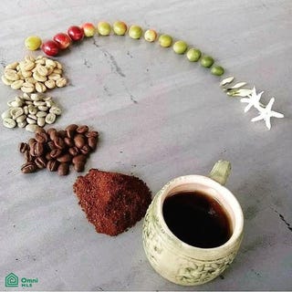 /international/cr/finca-hamacas-san-vito-puntarenas-310108086688/