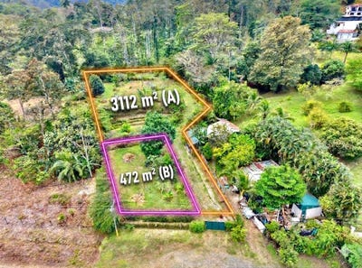 /international/cr/p5j5-956-limon-province-cahuita-costa-rica-cahuita-limon-310108967372/