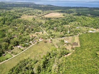 /international/cr/2-4-acres-building-lot-in-osa-peninsula-puerto-jimenez-puntarenas-310108592962/