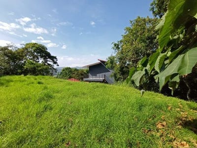 /international/cr/atenas-atenas-alajuela-atenas-alajuela-province-310101135381/?lang=en