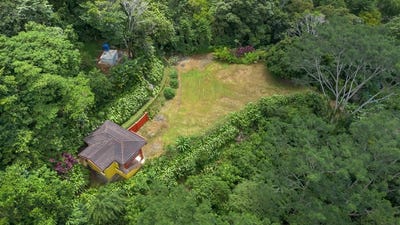 /international/cr/build-ready-ocean-view-land-with-guest-house-fruit-orchard-tres-rios-costa-rica-tres-rios-puntarenas-310103077299/