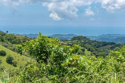 /international/cr/casa-tosh-belen-de-nosarita-nicoya-guanacaste-belen-de-nosarita-guanacaste-province-310101926449/