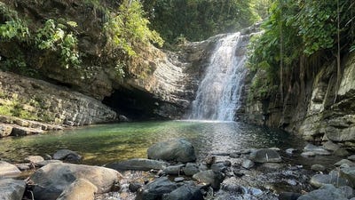 /international/cr/prime-mountain-farm-land-with-ocean-views-and-private-waterfall-in-uvita-costa-rica-mountain-home-construction-site-for-sale-in-uvita-uvita-puntarenas-310097538525/