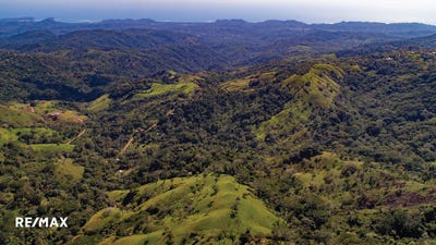 /international/cr/zaragoza-belen-de-nosarita-canton-nicoya-provincia-guanacaste-50207-costa-rica-belen-de-nosarita-guanacaste-belen-de-nosarita-guanacaste-province-310097550667/