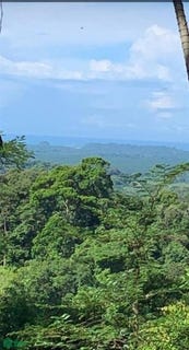 /international/cr/calle-tocori-quepos-quepos-puntarenas-60601-puntarenas-310107247923/