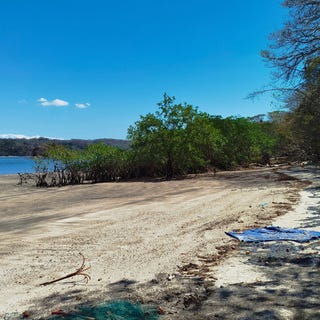 /international/cr/entre-playa-naranjo-y-playa-blanca-paquera-puntarenas-paquera-puntarenas-310106691641/