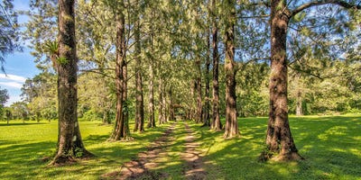 /international/cr/montecito-amazing-lot-in-heredia-san-rafael-heredia-heredia-province-310101283049/