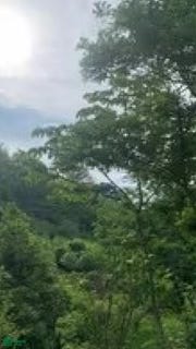 /international/cr/180-hojancha-guanacaste-province-310108564379/