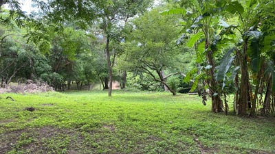/international/cr/santa-rosa-guanacaste-province-guanacaste-province-310108777828/