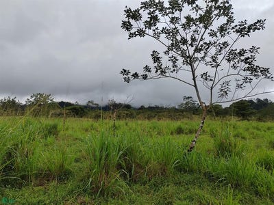 /international/cr/c-rio-celeste-san-rafael-alajuela-province-310106486774/