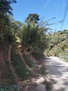 /international/cr/calle-quiros-el-manzano-desamparados-san-jose-310106610572/