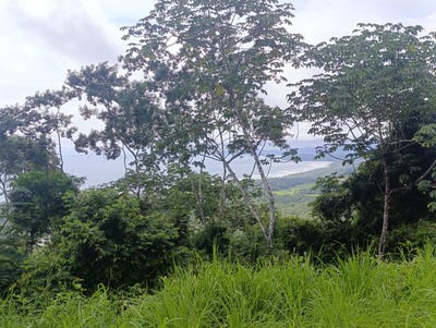 /international/cr/playa-coyote-nandayure-guanacaste-nandayure-guanacaste-province-310103485855/