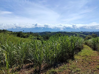 /international/cr/cajon-perez-zeledon-costa-rica-perez-zeledon-san-jose-perez-zeledon-san-jose-310101285036/?lang=zh-tw