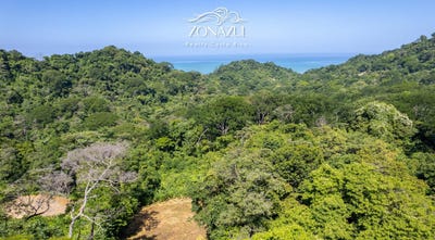 /international/cr/santa-teresa-beach-puntarenas-province-puntarenas-province-310101414000/