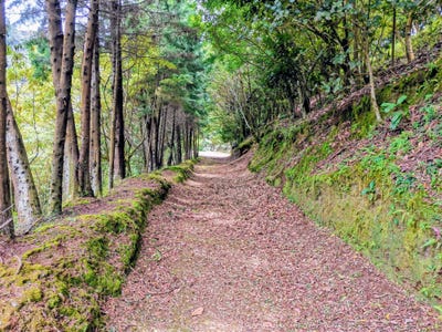 /international/cr/calle-toros-sarchi-norte-alajuela-valverde-vega-sarchi-alajuela-valverde-vega-sarchi-alajuela-province-120094682064/