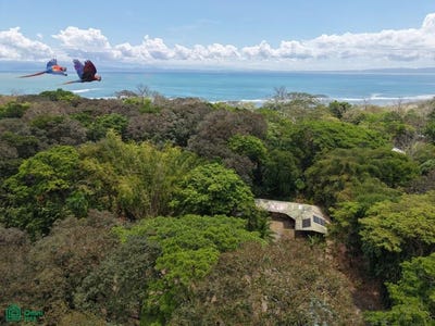 /international/cr/playa-sombrero-near-cabo-matapalo-osa-peninsula-puerto-jimenez-puntarenas-310107041845/