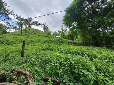 /international/cr/lot-san-fernando-san-fernando-lot-1024-ma²-building-plot-affordable-flat-10-minutes-drive-from-samara-samara-guanacaste-province-120092499452/