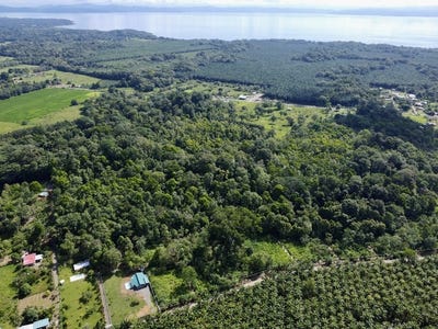 /international/cr/large-building-lots-in-osa-peninsula-puerto-jimenez-puntarenas-310108592995/